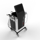 Intelligente elektrische Physiotherapie-Promaschine Tecar mit Tecar 300w
